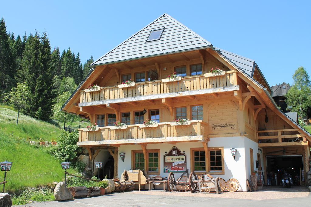 Hotel & Restaurant Gruener Baum - Die Gruene Oase Am Feldberg 외부 사진