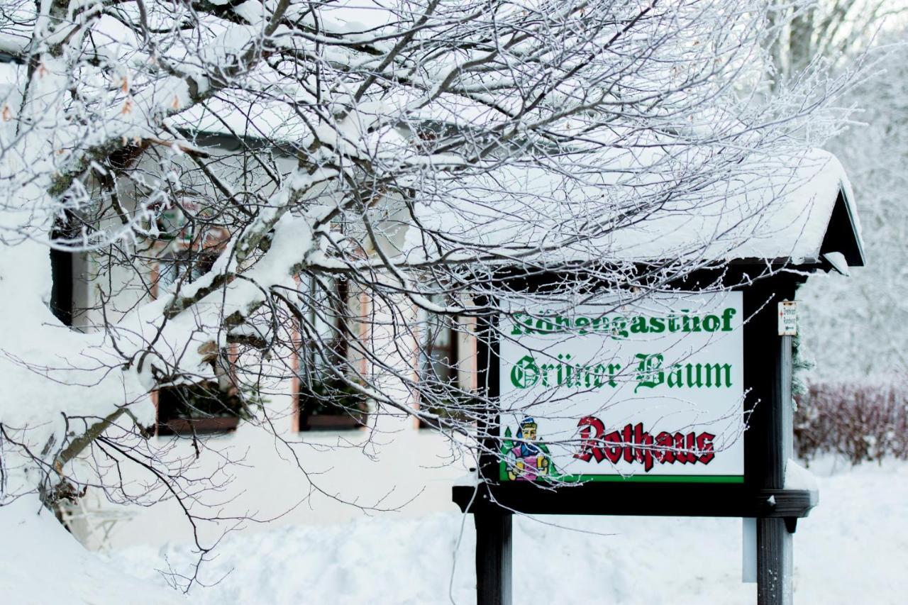 Hotel & Restaurant Gruener Baum - Die Gruene Oase Am Feldberg 외부 사진